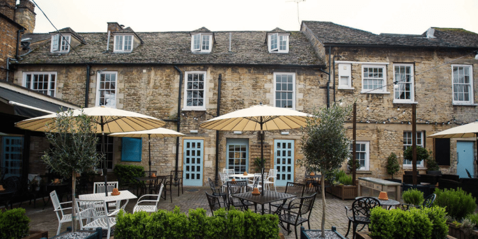 dog friendly blue boar