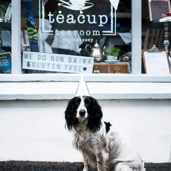 dog-friendly teacup tearoom