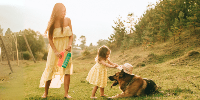 Top 10 Dog-Friendly Hotels for a Mother’s Day Getaway