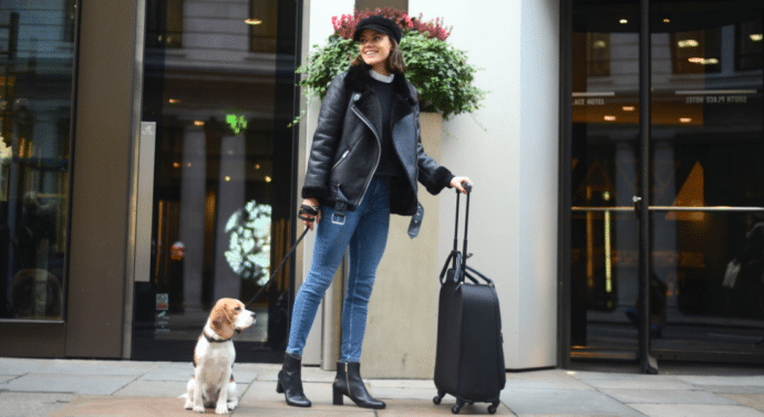 8 Best Cities & Towns for a Dog-Friendly Holiday 2025