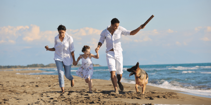 Last Minute Dog-Friendly Escapes for the May Bank Holidays