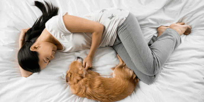 Dog-Friendly Mental Health Retreats for Ulti-mutt Relaxation