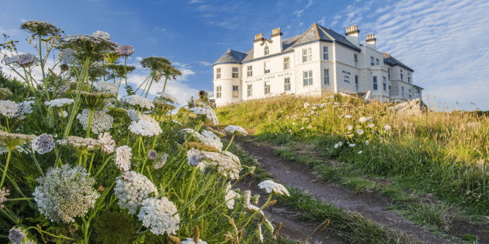 dog-friendly mullion cove