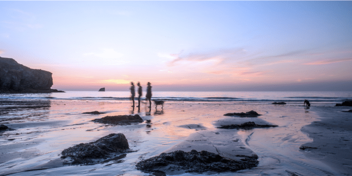 dog-friendly cornwall