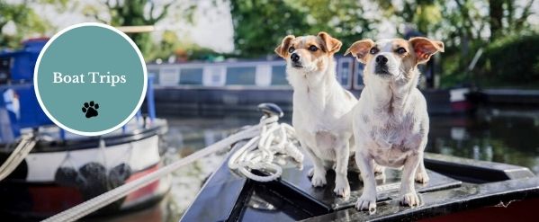 boat trips with dogs near me